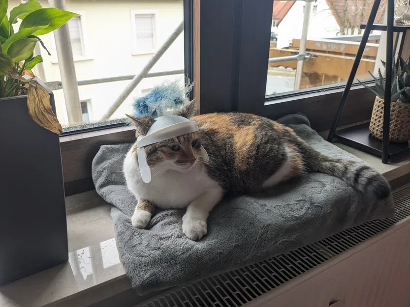 Mũ bảo hiểm mèo La Mã - Image 2