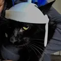 Mũ bảo hiểm mèo La Mã - Thumbnail 3