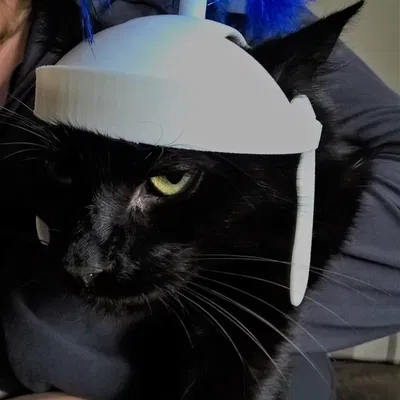 Mũ bảo hiểm mèo La Mã