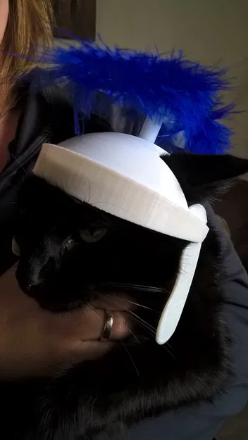 Mũ bảo hiểm mèo La Mã - Image 5