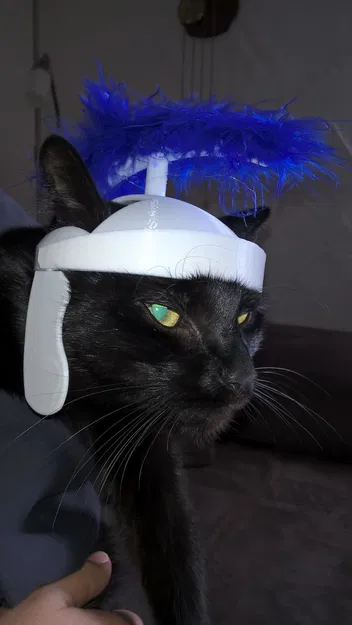 Mũ bảo hiểm mèo La Mã - Image 6