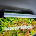 Pát Giữ Đèn LED Fluval A14772 Cho Hồ Cá - Thumbnail 1