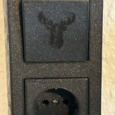 Nắp Ổ Cắm Công Tắc Jung LS 990