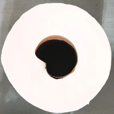 Core Restore - Sửa Lõi Giấy Vệ Sinh Bị Móp