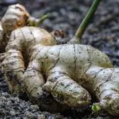 Mô hình trụ "cilinder"