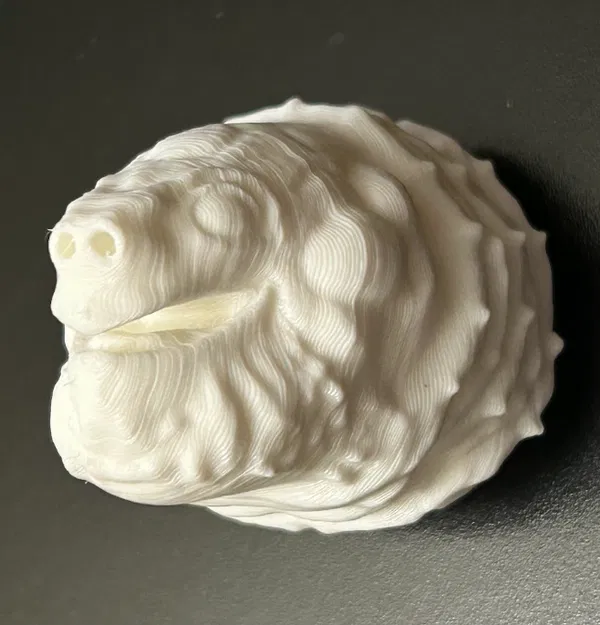 Đầu Rùa Happy Snappy Gắn Nam Châm - Image 2