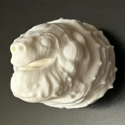 Đầu Rùa Happy Snappy Gắn Nam Châm