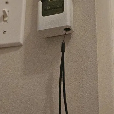 Cổ áo chó con chó con