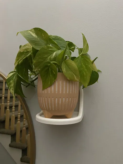 Kệ Tròn 6 Inch - Image 1