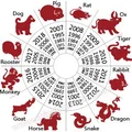 Zodiac Trung Quốc - Khỉ - Thumbnail 2