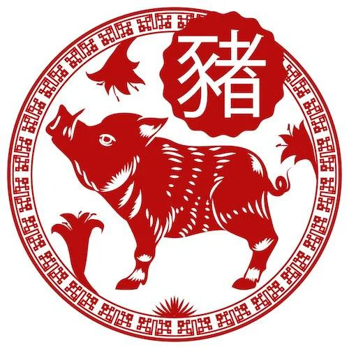 Zodiac Trung Quốc - Boar - Image 3