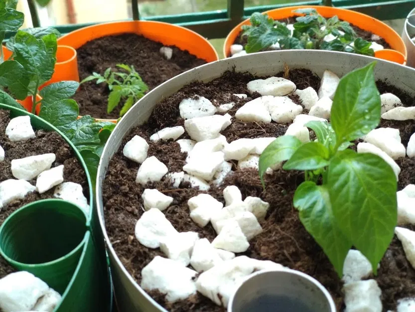 Chậu tự tưới cho chế độ "vase mode" - Image 1