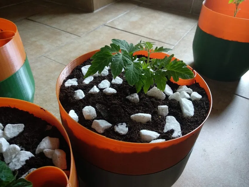 Chậu tự tưới cho chế độ "vase mode" - Image 4