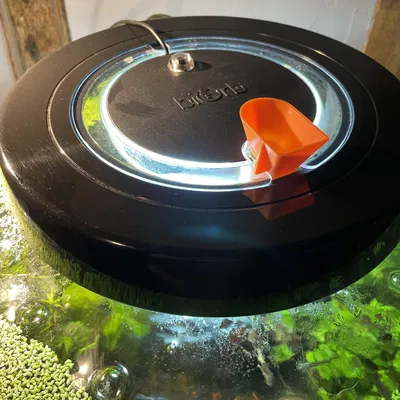 FUNING FUNELS cho bể cá Biorb