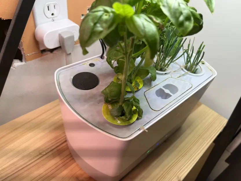 Netpot thủy canh và mũ ống - Image 2