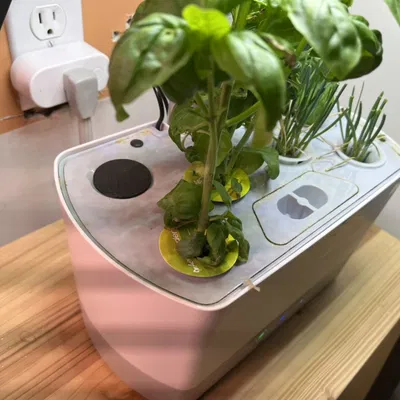 Netpot thủy canh và mũ ống