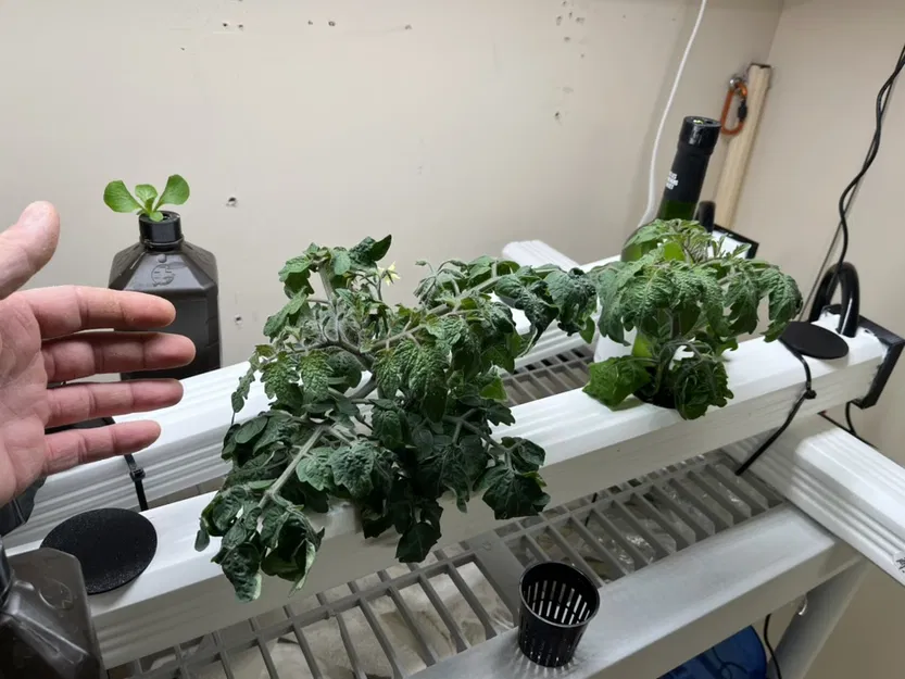 Netpot thủy canh và mũ ống - Image 4