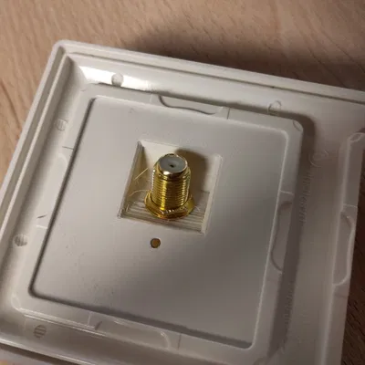 Nắp Che Đầu Nối F-Type Jung AS500