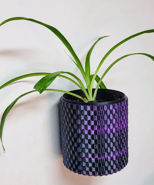 Bình Hoa Treo Tường Tích Hợp Hệ Thống Phân Phối Nước Số 1 - Image 1