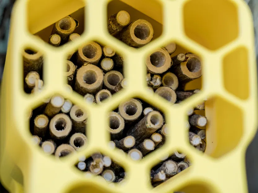 Khách sạn Ong !!!!KHÔNG IN ỐNG!!!! - Image 8