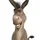 TallDonkey