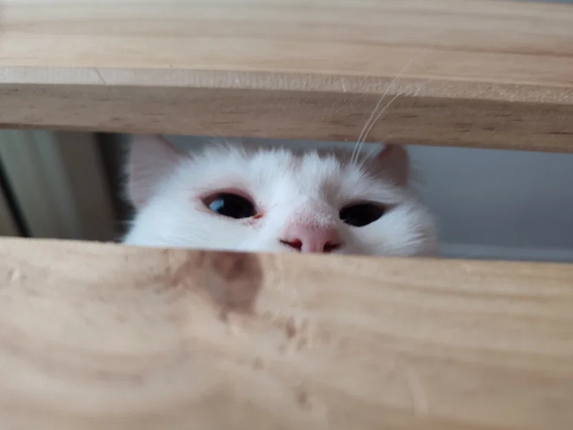 Người giữ máy tính bảng cho khung giường giường tầng - Image 4