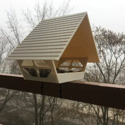 Chỗ Cho Chim Ăn Ấm Cúng