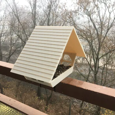 Chỗ Cho Chim Ăn Ấm Cúng