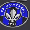 Logo đa sắc CF Montreal Impact - Thumbnail 2