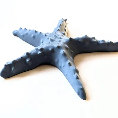 Mô Hình Sao Biển