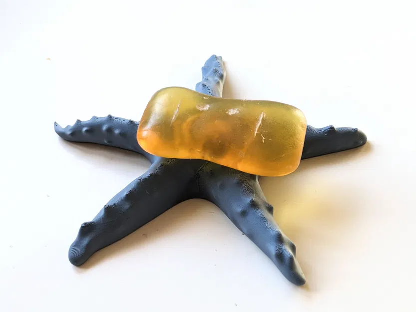 Mô Hình Sao Biển - Image 2