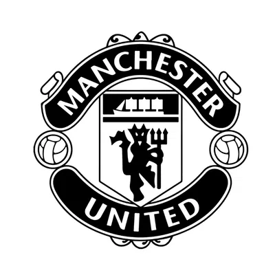 Tranh Treo Tường 2D Manchester United - Trang Trí Nhà Cửa