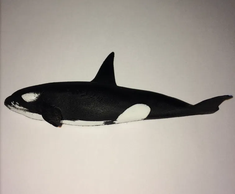 Móc nam châm tủ lạnh cá voi sát thủ - Image 1