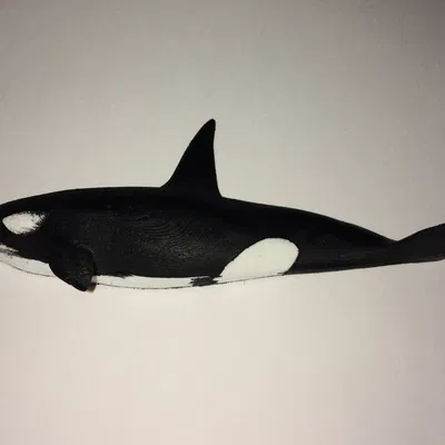 Móc nam châm tủ lạnh cá voi sát thủ