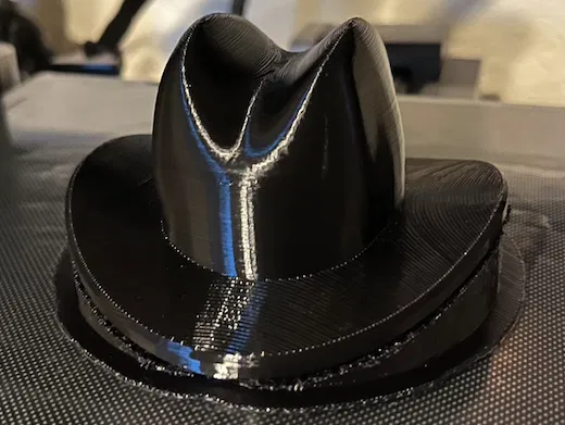 Nón Cowboy Cho Xương Rồng Low Poly - Image 5