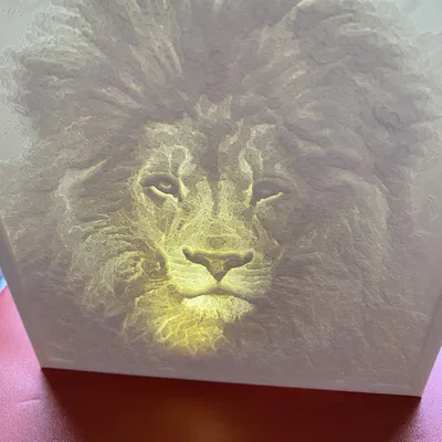 Đèn Lithophane 4 mặt (và 5 mặt)