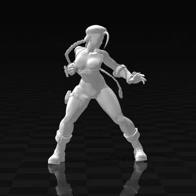 Mô hình Cammy - SFV