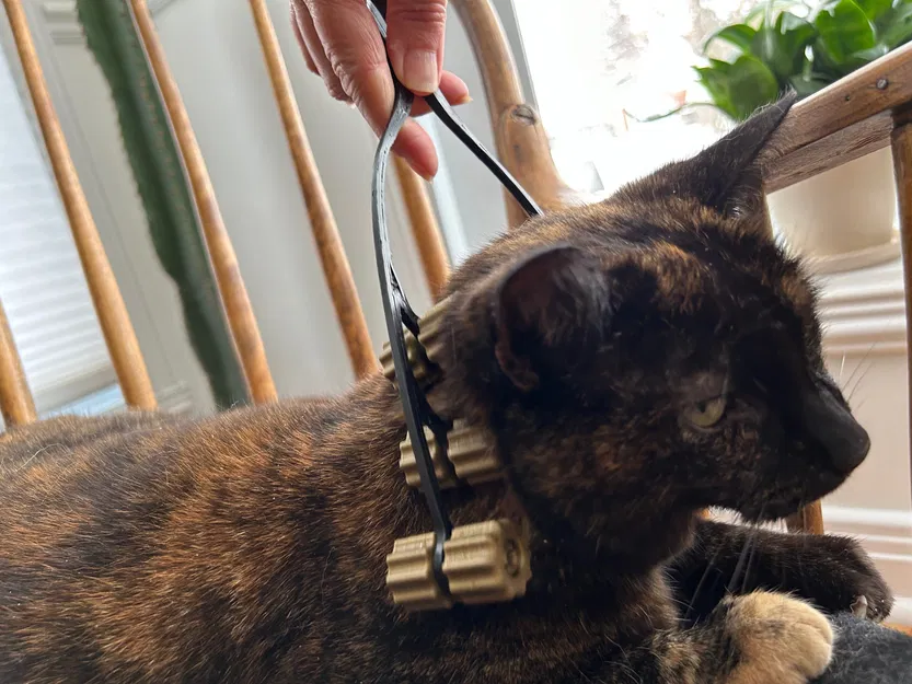 Máy Massage Mèo Tối Thượng - Image 4