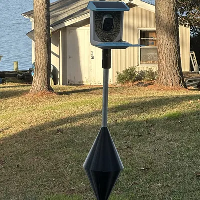 Cái Che Chuột Túi Leo Cột