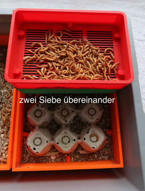 Bột sâu Nhân giống: Sief cho giun ăn - sàng cho giun ăn - Image 2