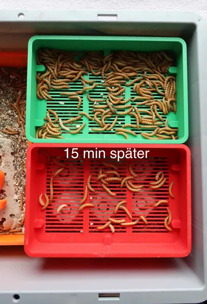 Bột sâu Nhân giống: Sief cho giun ăn - sàng cho giun ăn - Image 3