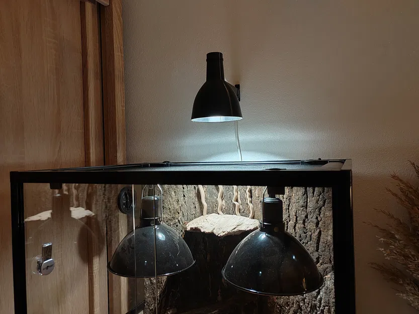 Chao Đèn - Image 3