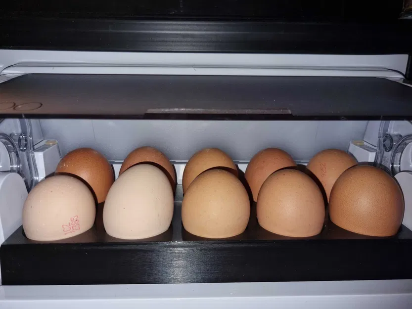 Khay Đựng Trứng Tủ Lạnh (Cho 10 Quả) - Image 1
