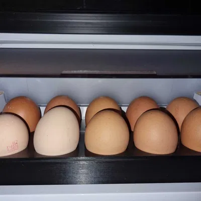 Khay Đựng Trứng Tủ Lạnh (Cho 10 Quả)