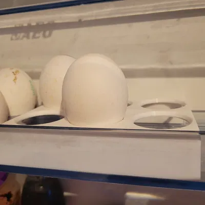 Khay Đựng Trứng Tủ Lạnh Cho 6 Quả