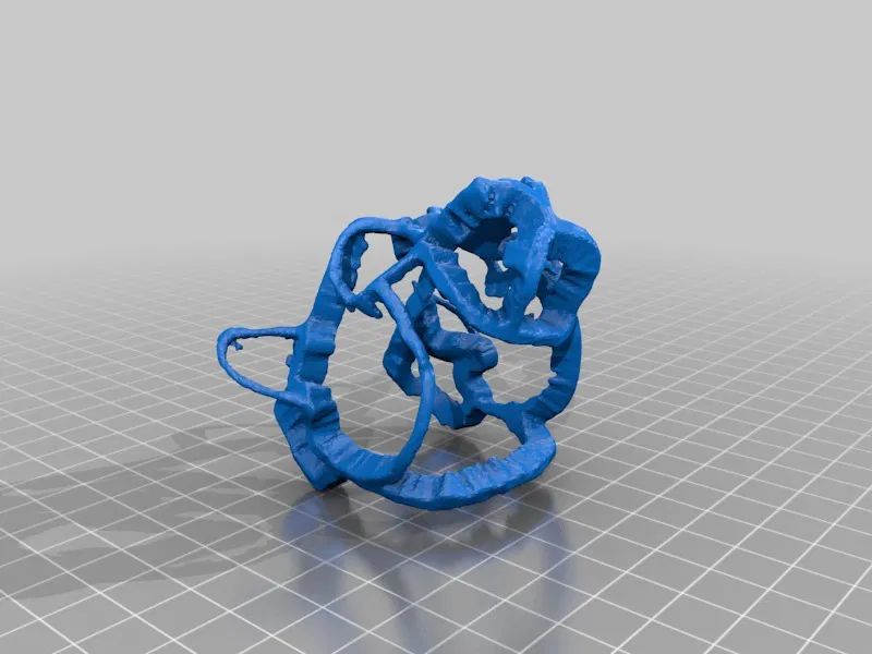 Bộ Sưu Tập Đầu Sư Tử Nittany Lion - Image 5