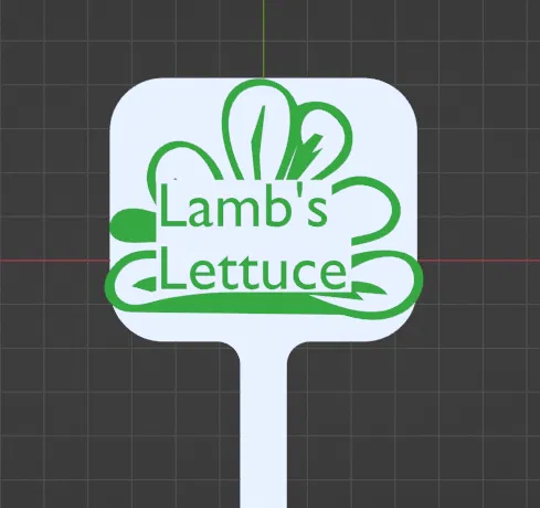 Nhãn Vườn - Image 26