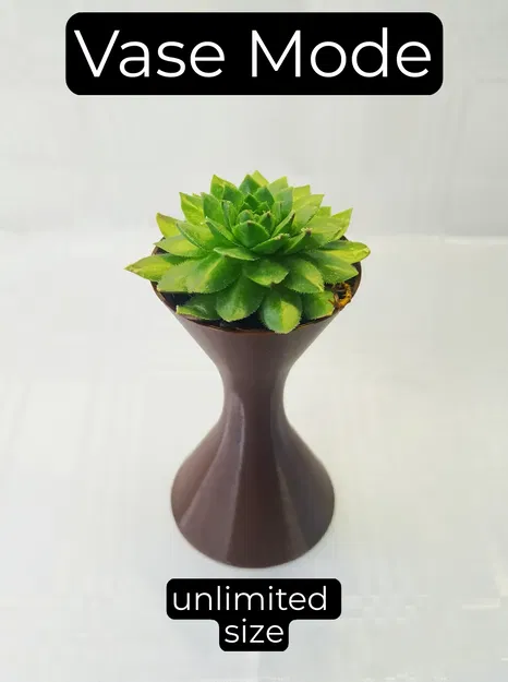 Chế độ hoa/bình hiện đại - Image 1