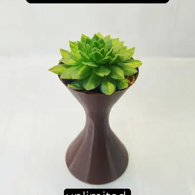 Chế độ hoa/bình hiện đại