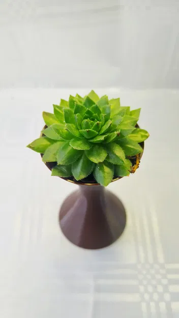 Chế độ hoa/bình hiện đại - Image 2